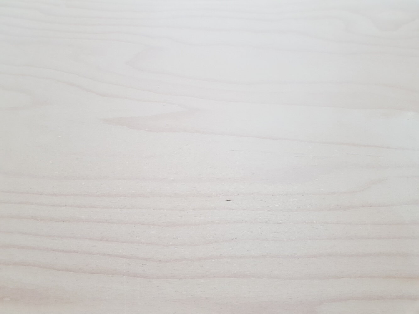 All You Need to Know About Light Beech Wood Timber